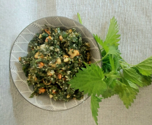 Schwarzwald-Pesto mit Brennnessel