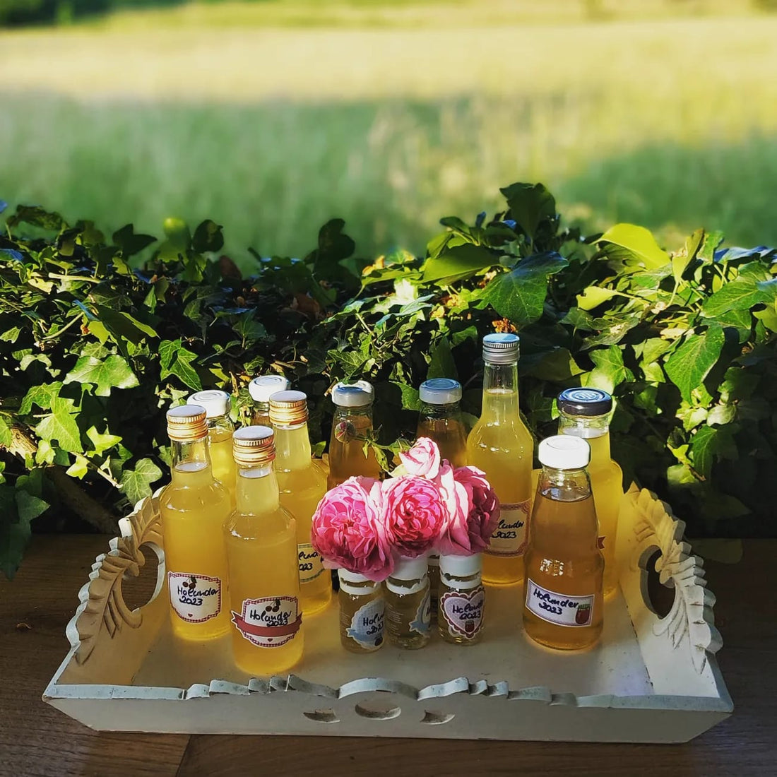 selbstgemachter Holunderblütensirup