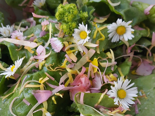 Salatdressing mit Holunderblütensirup