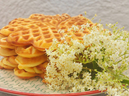 Holunder-Waffeln