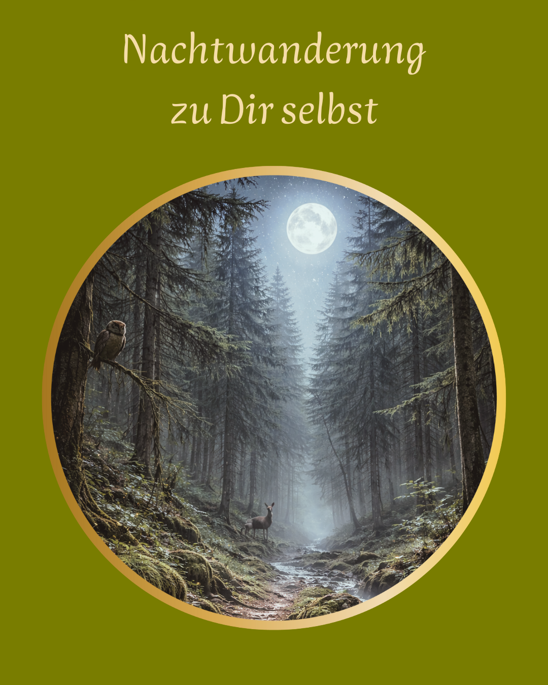 Die Nachtwanderung – Erlebe den Wald, wie du ihn noch nie gesehen hast