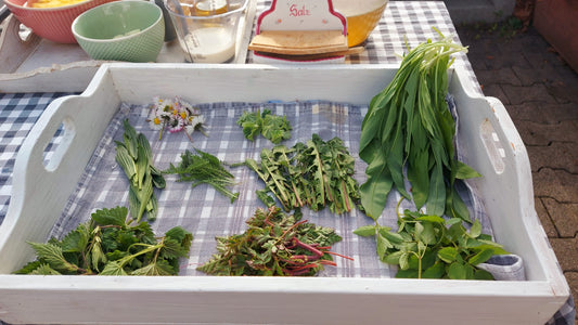 Neunkräutersuppe