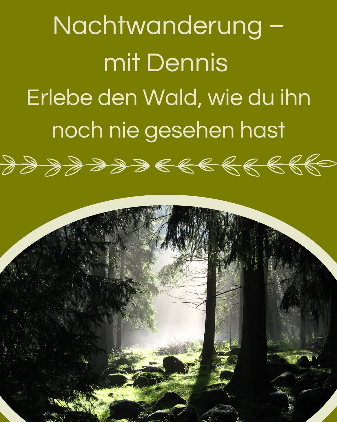Die Nachtwanderung – Erlebe den Wald, wie du ihn noch nie gesehen hast