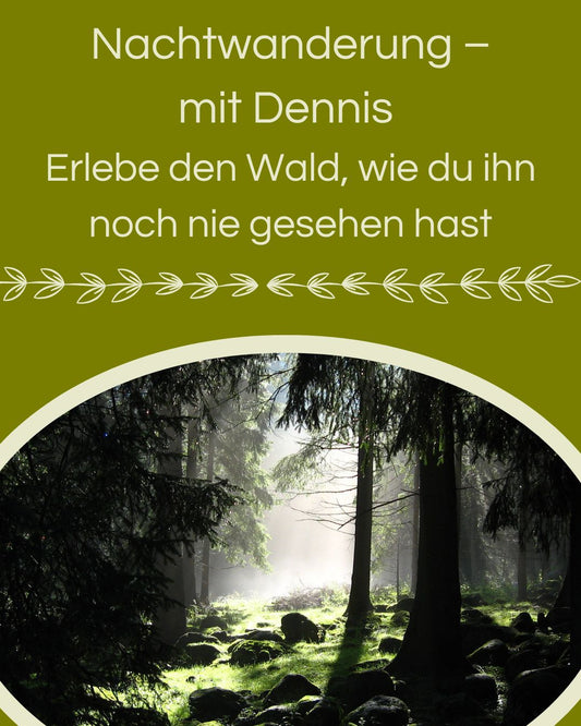 Die Nachtwanderung – Erlebe den Wald, wie du ihn noch nie gesehen hast
