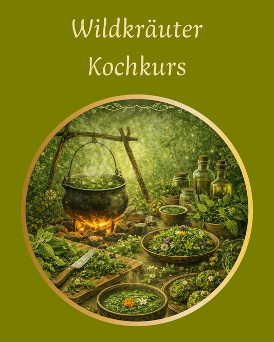 Wildkräuter Kochkurs