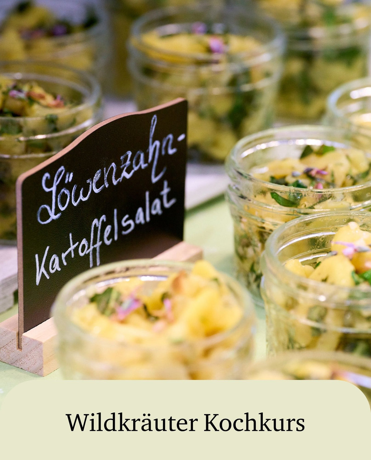 Wildkräuter Kochkurs - Kochen im Rhythmus der Natur