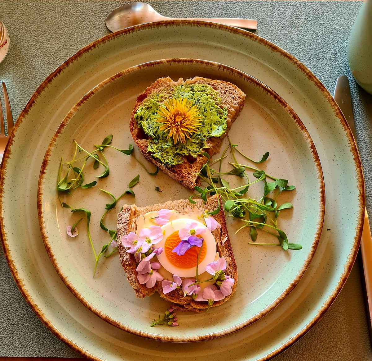 Wildes Frühstück trifft wildes Wissen
